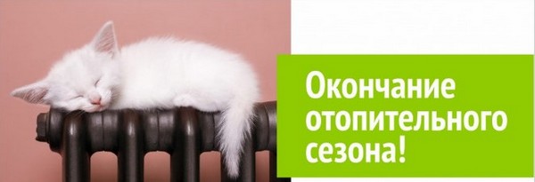 Окончание отопительного сезона Котенок на трубе
